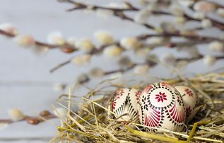 Osternest mit Palmkätzchenzweig