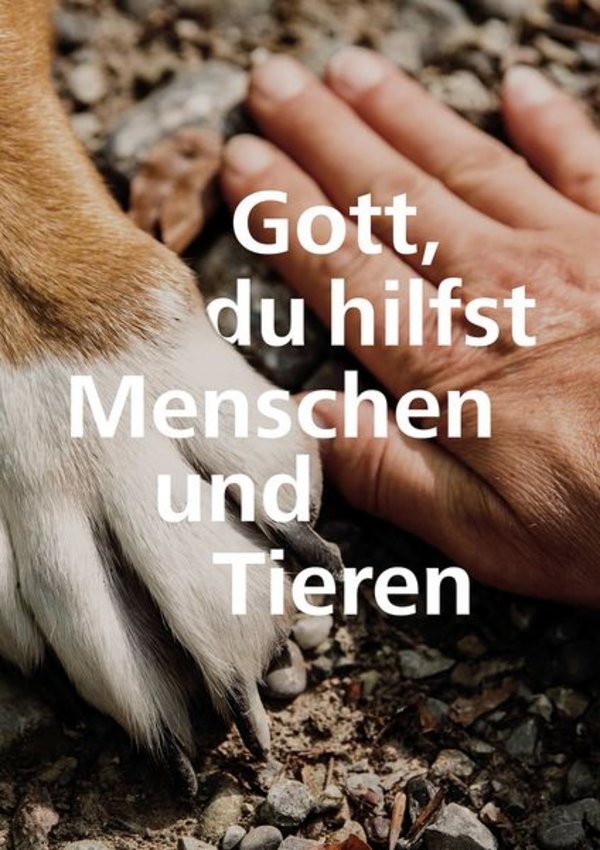 Tierpfote und Menschenhand