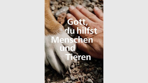 Tierpfote und Menschenhand